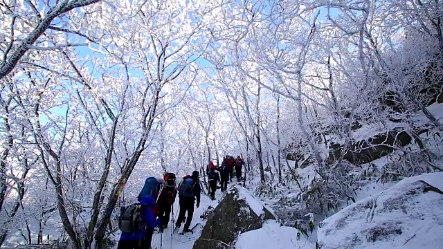 冬天在木登山国家山公园的徒步旅行者视频素材