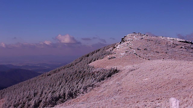 慕登山国家山公园的冬季风景视频素材