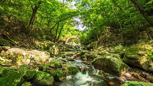 仙庵承承桥景(韩国瑰宝400)视频素材