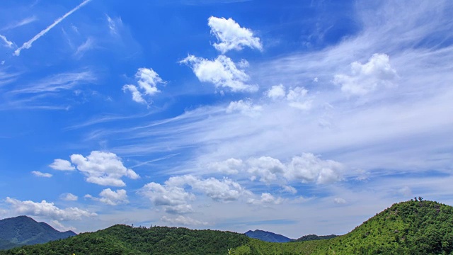 森林和cloudscape视频素材