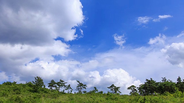 森林和cloudscape视频素材