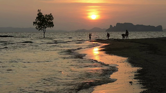 一群人在海滩上玩视频素材