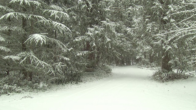 冰雪覆盖的森林路在冬天视频素材