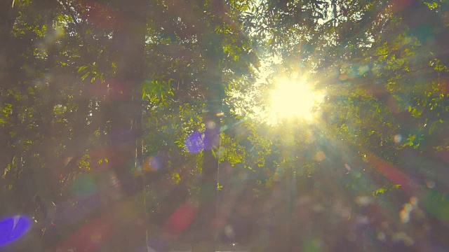 抽象自然背景(可循环)视频素材