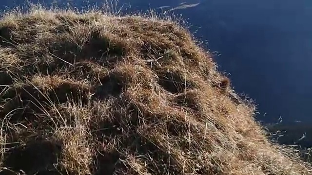 走到高山草甸的顶端看风景视频素材