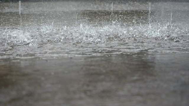 雨滴视频素材