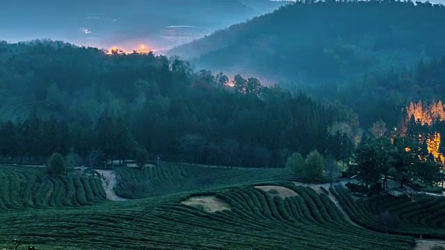 在Boseongchabat的绿茶田和山的日出景色视频素材