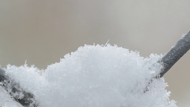 潮湿的秋雪落在铁丝网栅栏上视频素材