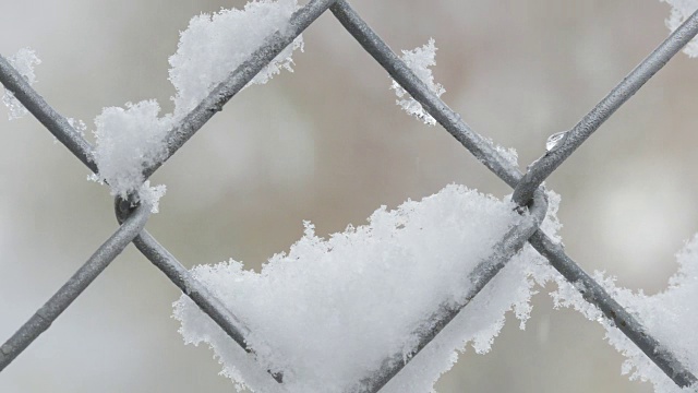 潮湿的秋雪落在铁丝网栅栏上视频素材