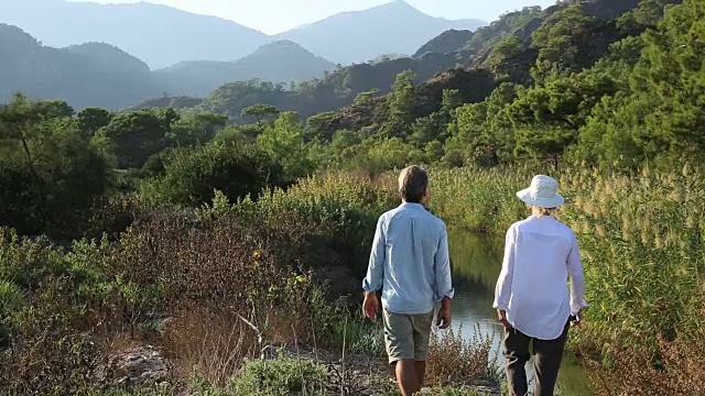 一对情侣沿着池塘边散步，望向群山视频素材