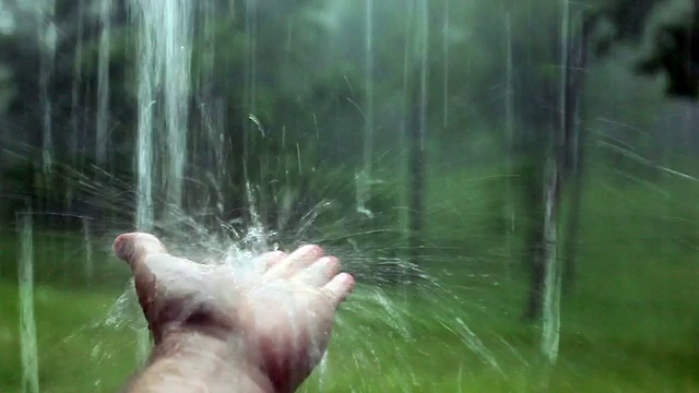 雨落在手中视频下载