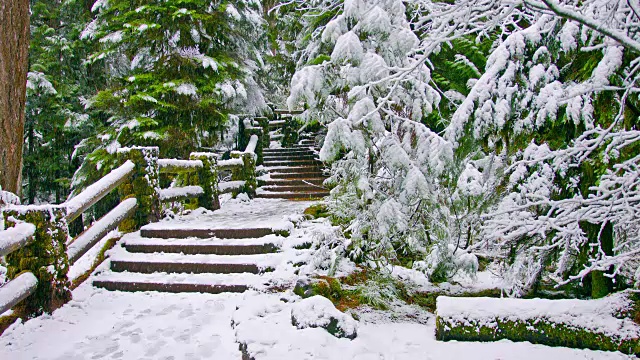 雪的风景视频素材