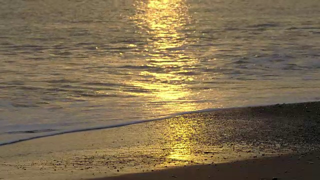 昭南海岸的夜晚视频素材