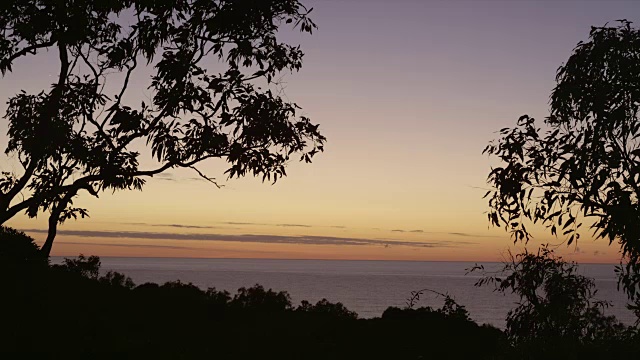 海面上黎明的天空，树林在风中摇曳视频素材