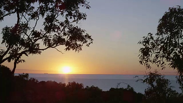 海面上的日出，树木在风中摇曳视频素材