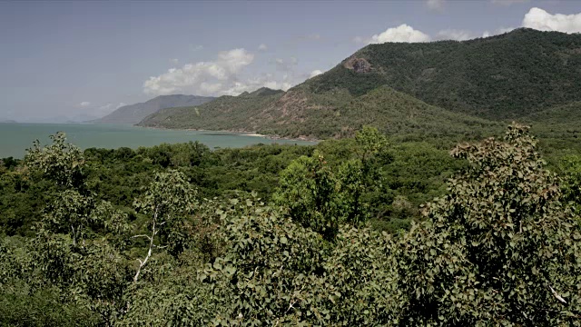 森林山的海岸线视频素材