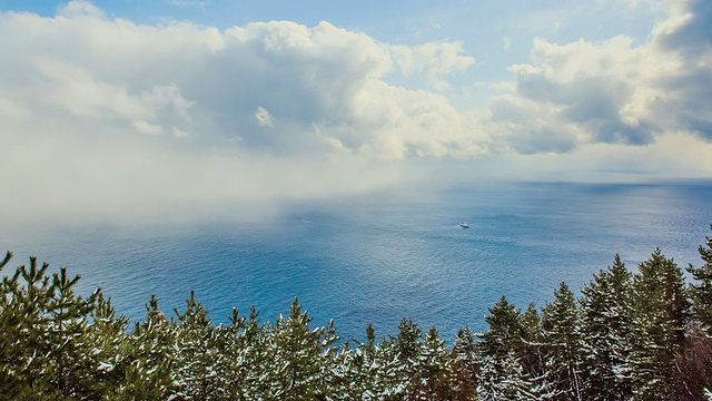 WS T/L船在海景和森林中移动的视图/ Ulleunggun，庆尚布道，韩国视频素材