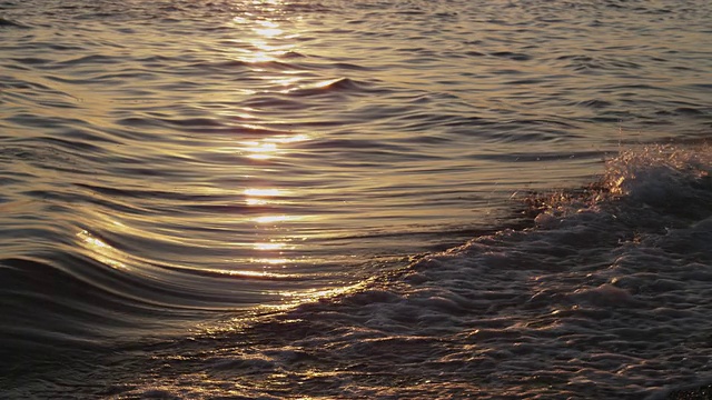 海浪翻滚在鳕鱼角鲱鱼湾海滩在日落在慢镜头近。视频素材