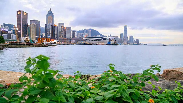 有前景的香港城市视频素材