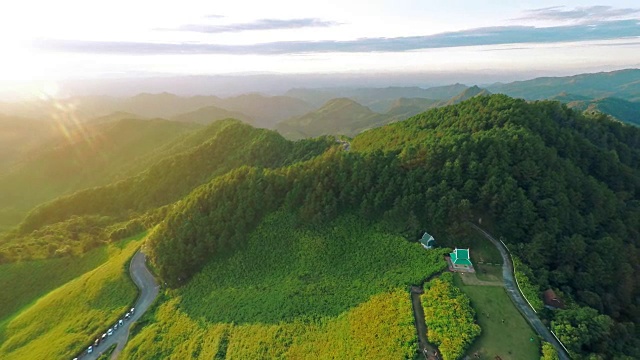 山上的墨西哥向日葵田视频素材