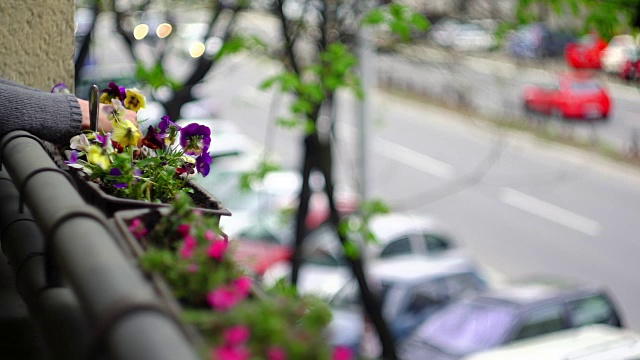 在阳台上种花视频素材