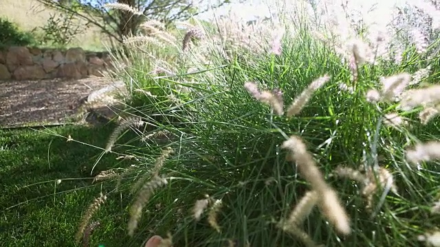 一个白人女孩在桶里捡草视频素材