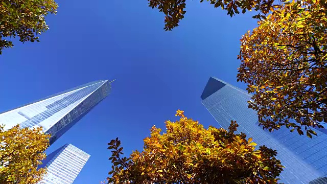 在9/11纪念馆，秋色树环绕着世界贸易中心和摩天大楼。视频素材