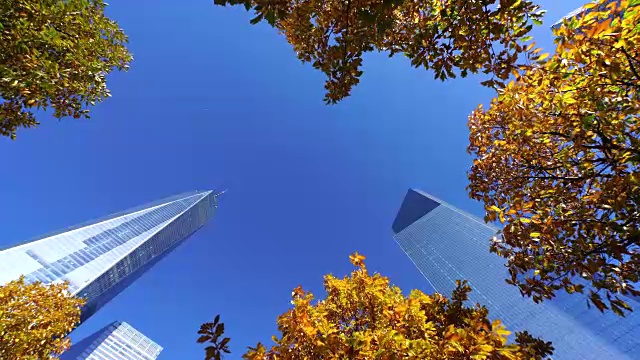 在9/11纪念馆，秋色树环绕着世界贸易中心和摩天大楼。视频素材