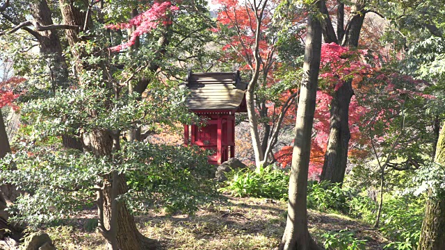 历史上日本花园视频素材