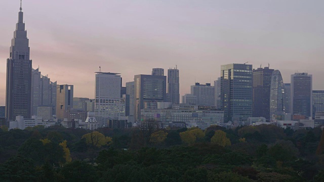 黄昏时分的东京新宿视频素材