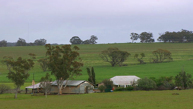 WS View of Farm houses / Coolgardie and Kalgoorlie，西澳大利亚，澳大利亚视频素材