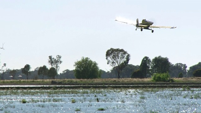 WS TS View of Plane drops rice seeds /墨尔本，澳大利亚视频素材