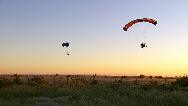 WS TS航空降落伞飞行/ Werribee，澳大利亚维多利亚州视频素材