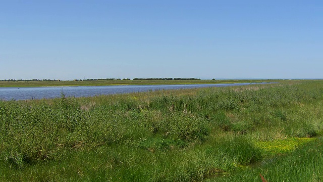 WS View of Marsh / Werribee，澳大利亚维多利亚州视频素材