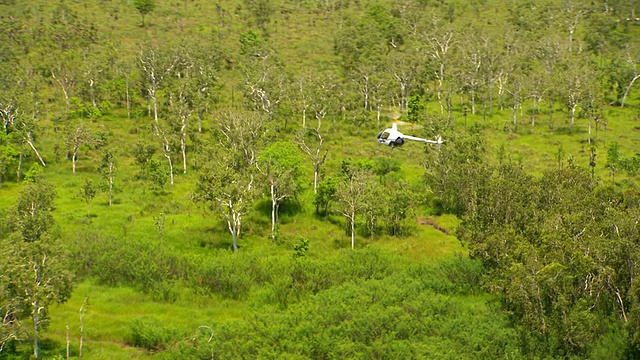 WS AERIAL TS视图公司直升机/ Rakula，北领地，澳大利亚视频素材