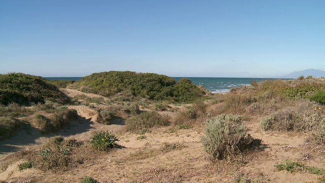 MS Shot of Cabopino / Marbella沙丘，安达卢西亚，西班牙视频素材