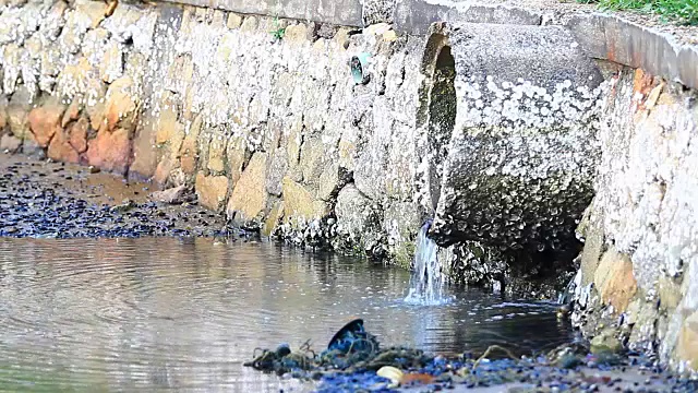 从管道工厂排出的废水视频下载