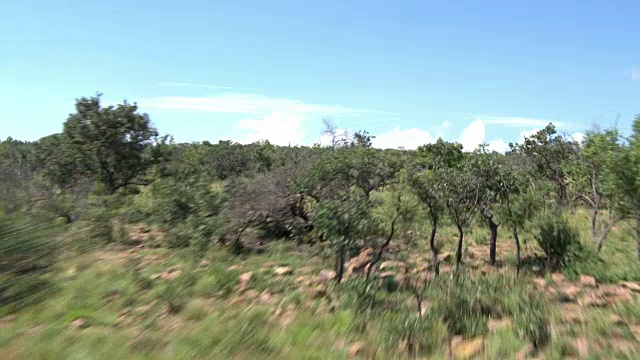 瓦特堡生物圈草地的鸟瞰图视频素材