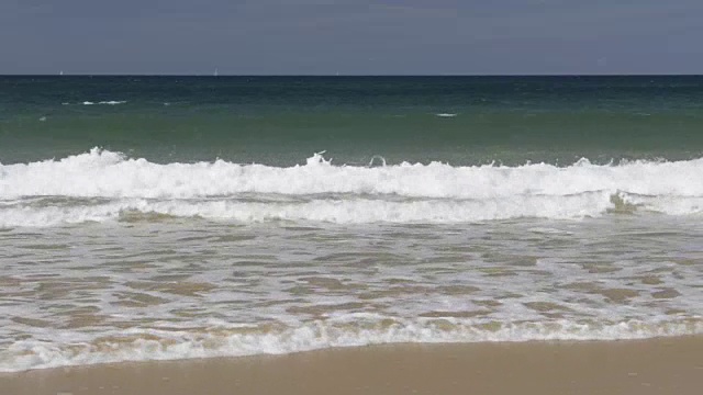 沙维奇海滩上的海浪视频素材