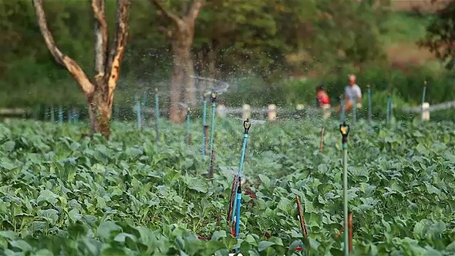 农业喷灌视频素材