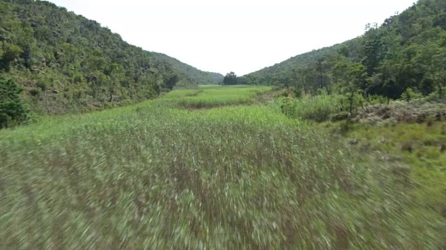 瓦特堡生物圈草地鸟瞰图视频素材