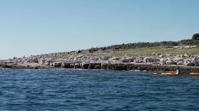 朋友们沿着岩石海岸划皮艇视频素材