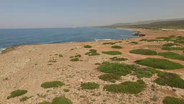 美丽的空中/无人机拍摄沿塞浦路斯海岸在一个晴朗的日子视频素材