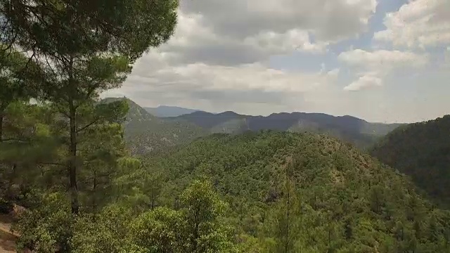 空中/无人机拍摄的森林在塞浦路斯视频素材