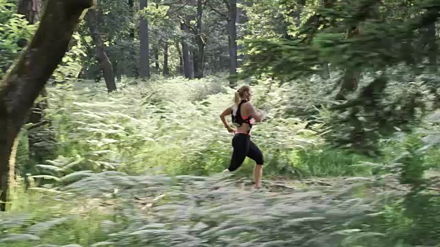 SLO MO DS女子跑森林小径马拉松视频素材