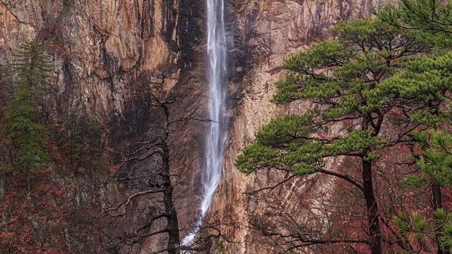 大成瀑布和雪山树的美景视频素材