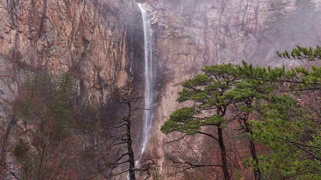 大成瀑布和雪山树的美景视频素材