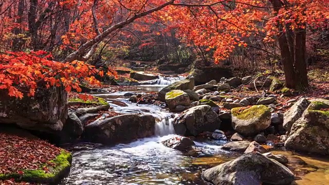 山谷周围的枫树在班台山视频素材