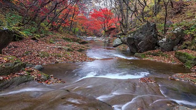 山谷周围的枫树在班台山视频素材