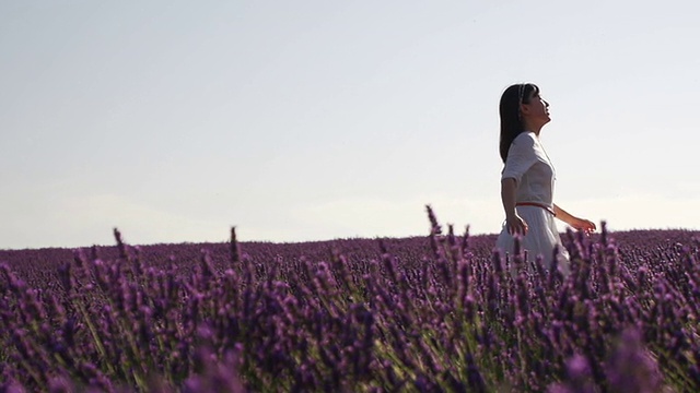 年轻女子在薰衣草地里奔跑视频素材